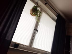Frontalansicht von eingebauten Fensterplissees