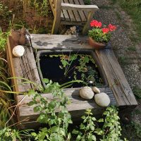 Teich Brunnen Bewasserung