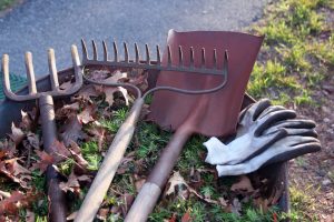 Gartenwerkzeuge mit Laub für Gartenarbeiten im Herbst
