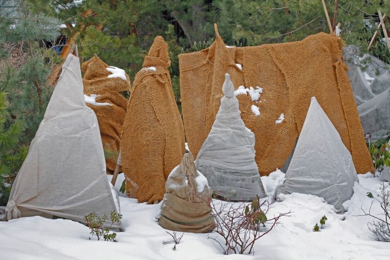 Sträucher, Bäume und Gräser mit Schutz vor Frost im winterfesten Garten