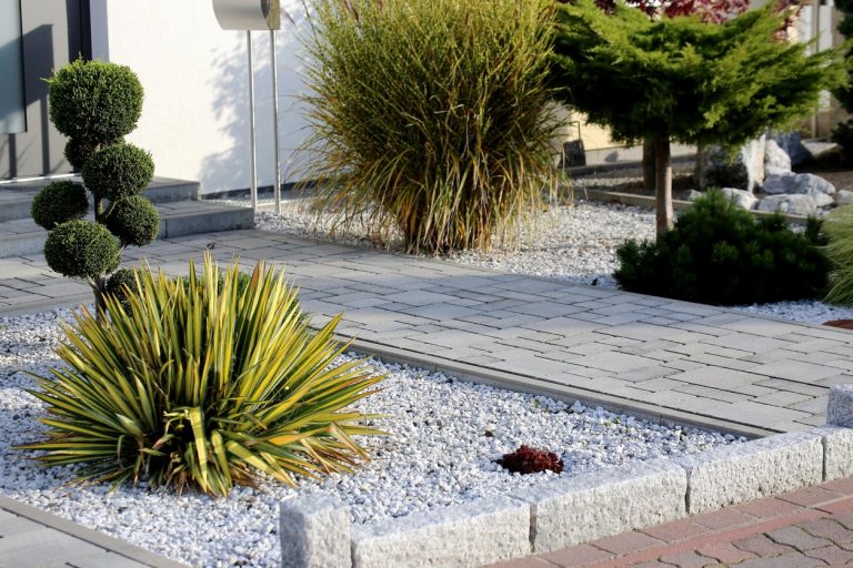 Schottergarten mit grauem Kies, geometrisch geschnittenen Gehölzen und dekorativen Pflanzflächen in einem modern gestalteten Vorgarten.