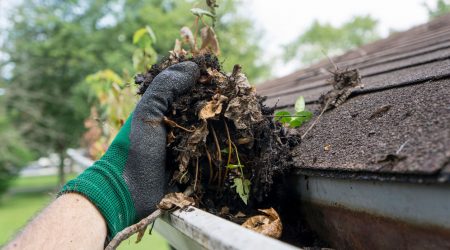 Hand mit grüner Arbeitshandschuh entfernt Laub und Schmutz aus einer verstopften Dachrinne an einem mit Bitumenschindeln gedeckten Dach.