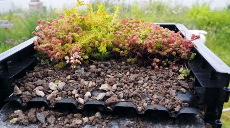 Beispielhaftes Beet mit Drainage Folie