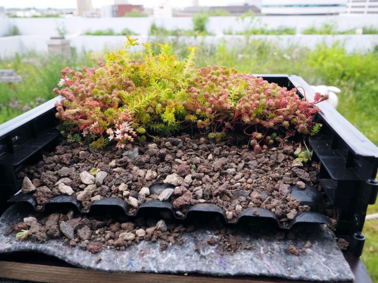 Beispielhaftes Beet mit Drainage Folie