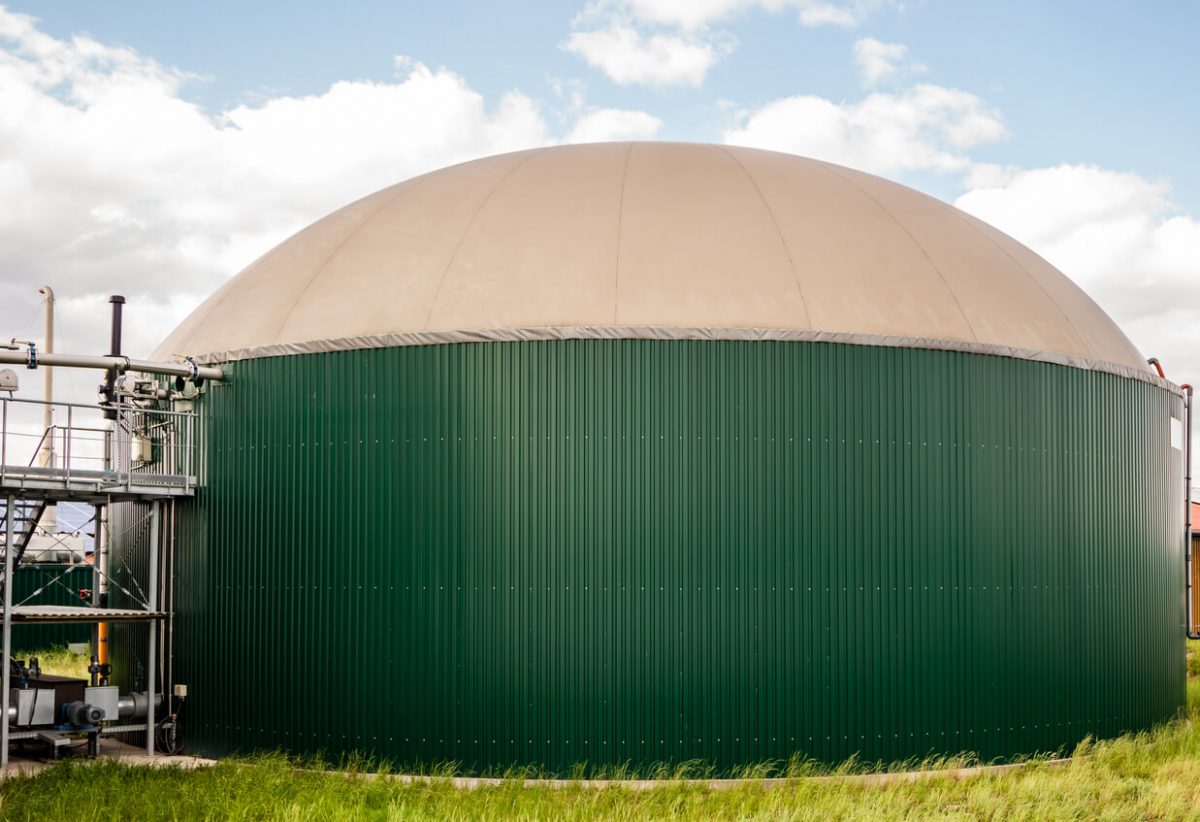 Grünes Silo für Biomasse
