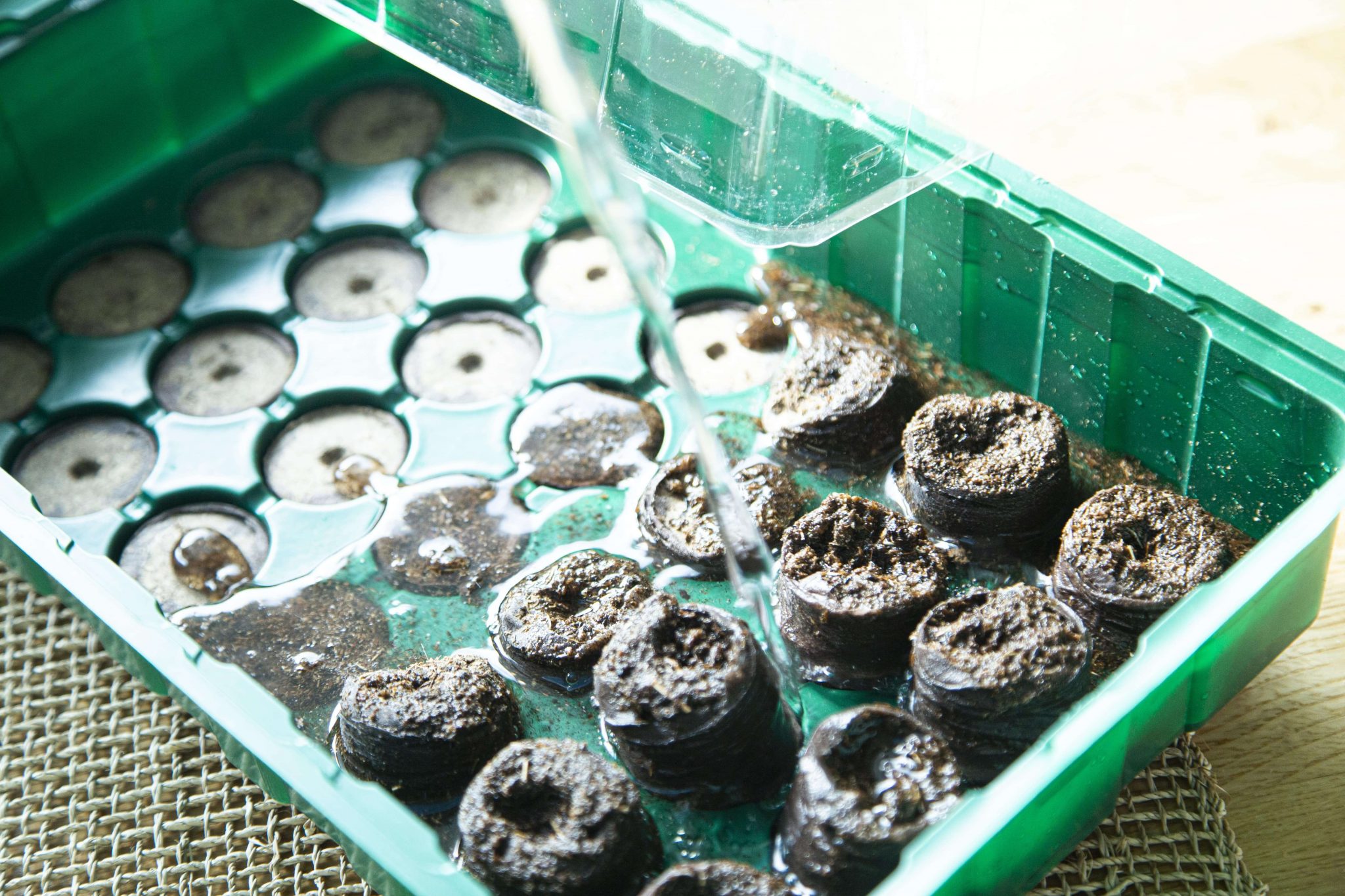 Samen aussäen » Schritt-für-Schritt-Anleitung zur Aussaat