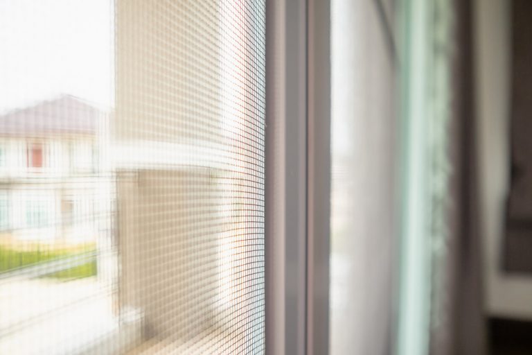 Insektenschutzgitter vor einem Fenster