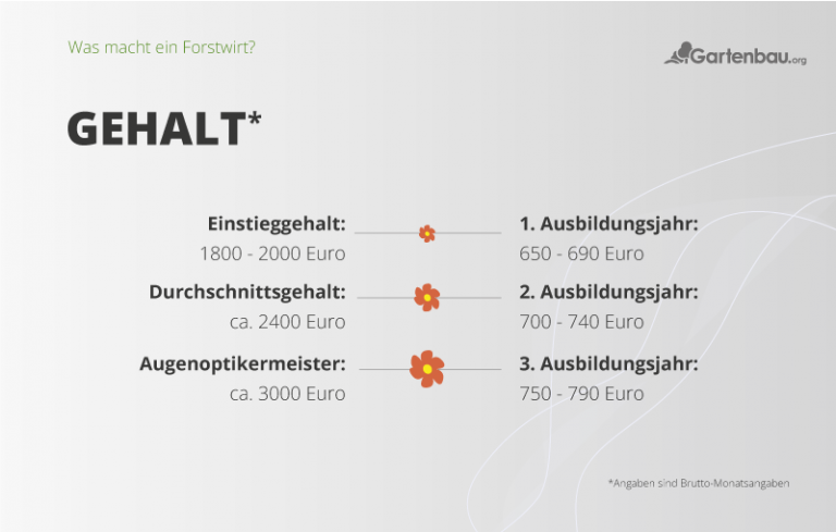 Was macht ein Forstwirt? | Aufgaben | Ausbildung | Gehalt