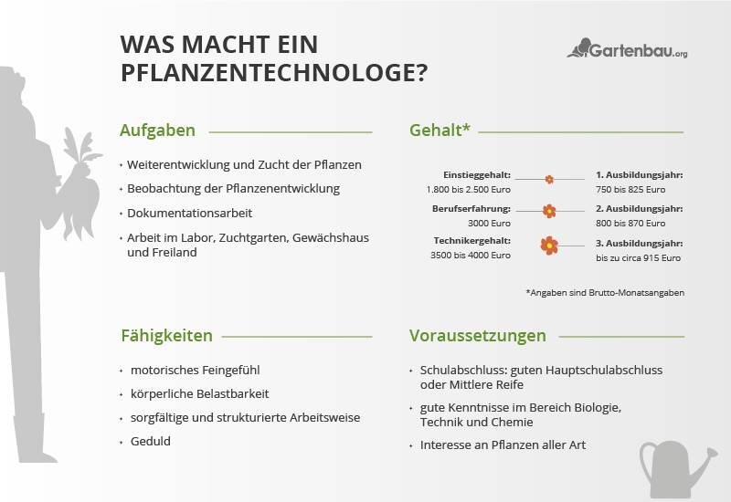 Illustration mit einer Übersicht zu Aufgaben, Gehalt, Fähigkeiten und Voraussetzungen des Berufsbilds Pflanzentechnologe.
