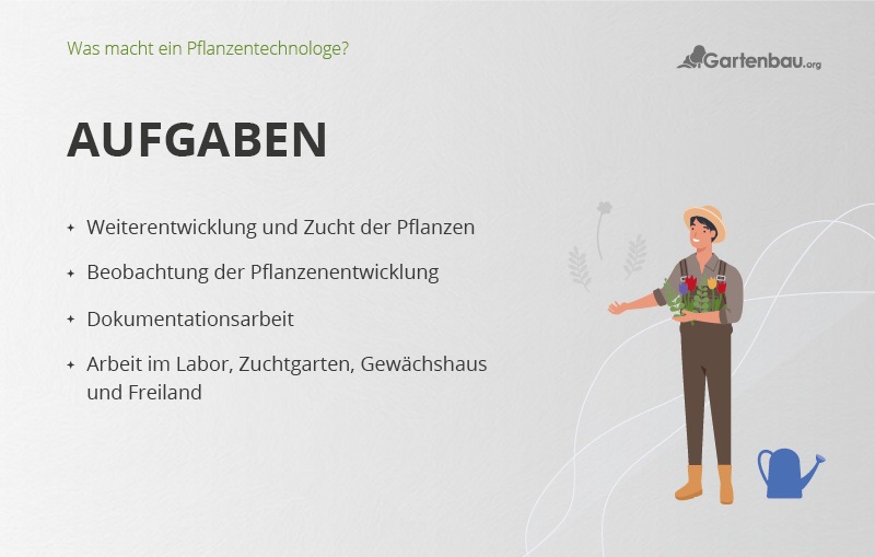 Illustration mit den Aufgaben des Berufsbilds Pflanzentechnologe.