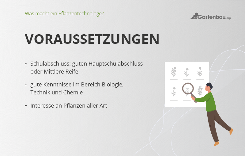 Illustration über die Voraussetzungen des Berufs Pflanzentechnologe.