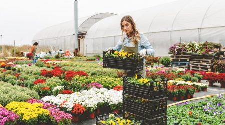Der Beruf Gärtner Voraussetzungen, Ausbildung und Tätigkeiten