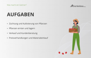 Was macht ein Gärtner? Aufgaben Ausbildung Gehalt