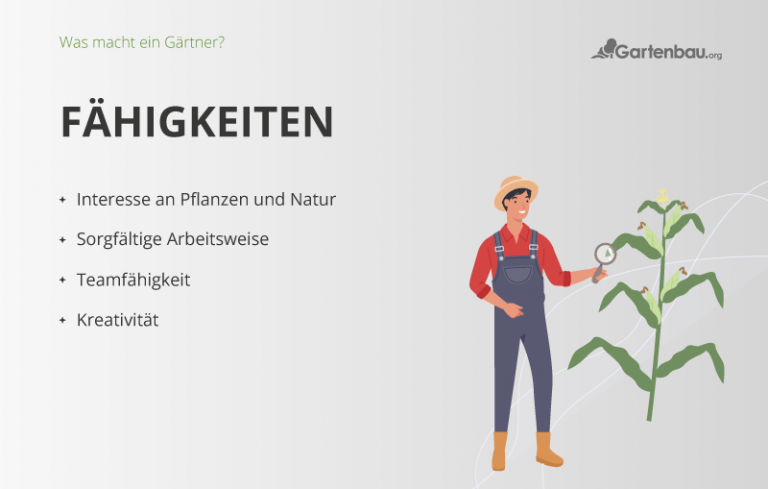 30+ Was Machen Gärtner, Als gärtner sind sie damit beauftragt,