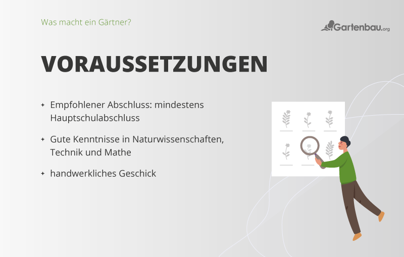 Was macht ein Gärtner? Aufgaben Ausbildung Gehalt
