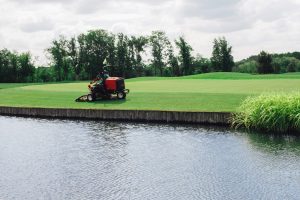 Greenkeeper mäht mit Rasenmäher das Grün eines Golfplatz am Wasser
