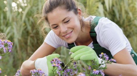 Weibliche Gärtnerin schneidet Blumen