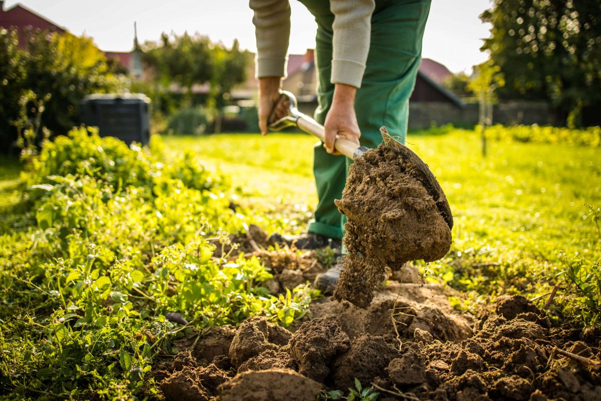 Ausbildung zum Garten und Landschaftsbauer