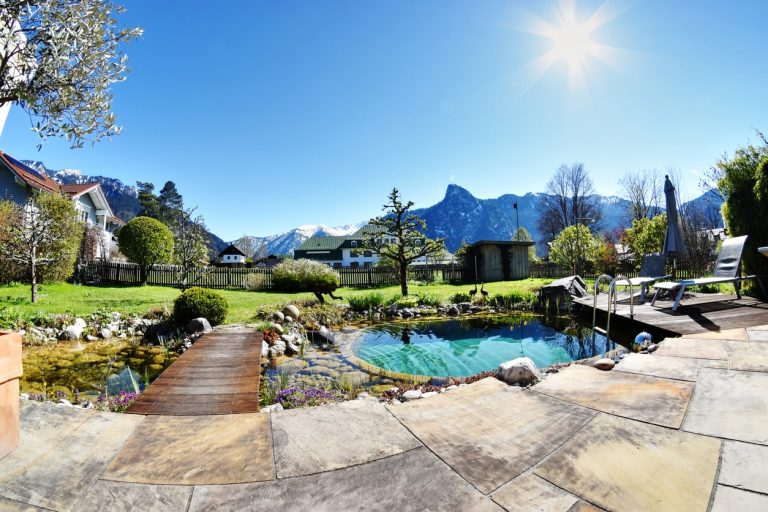 Naturpool in einem Garten in Bayern mit Gebirge im Hintergrund