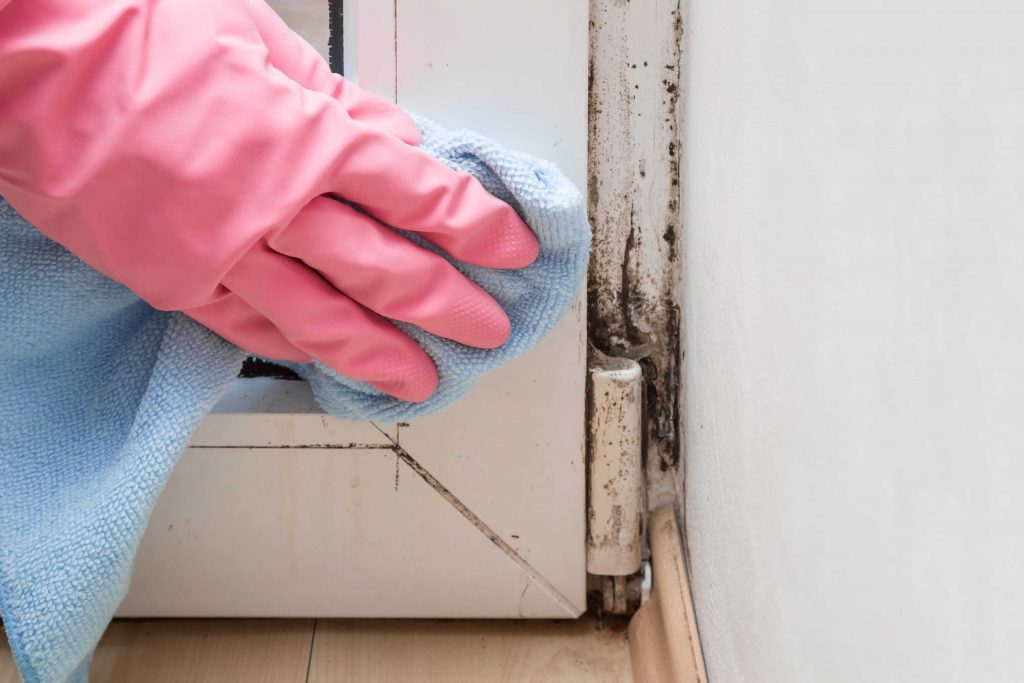 Person mit Gummihandschuh wischt mit einem Lappen den Schimmel am Fensterrahmen weg