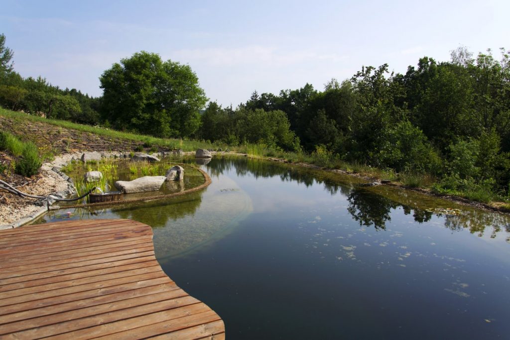 Holzsteg an einem Schwimmteich mit Wasserreinigungsanlage im Hintergrund