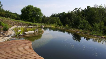 Holzsteg an einem Schwimmteich mit Wasserreinigungsanlage im Hintergrund