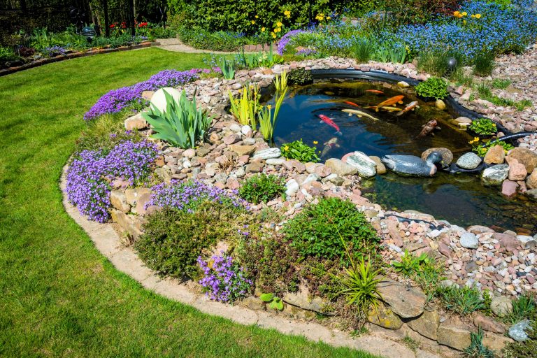 Gartenteich mit Koi-Fischen und Pflanzenbeet