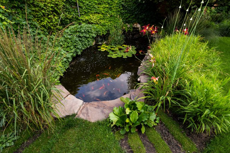 Gartenteich mit Steinumrandung und Fischen in Garten