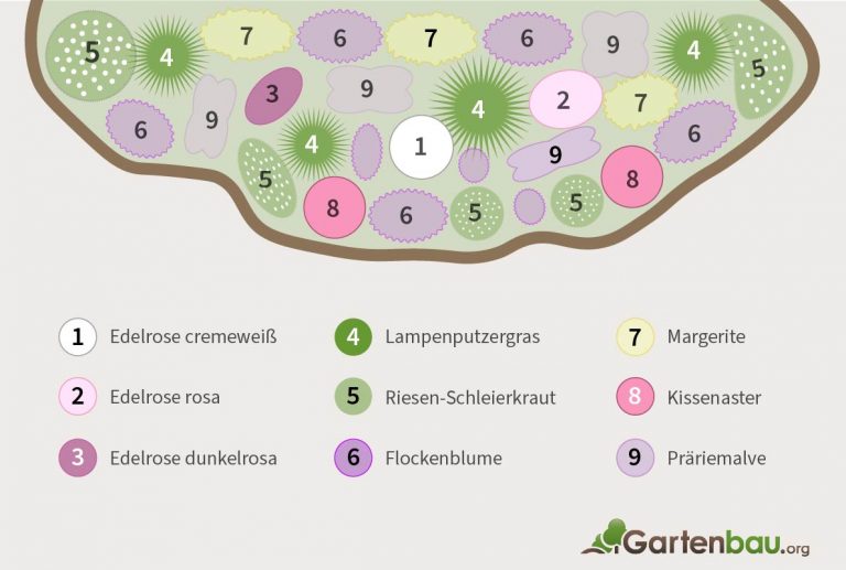 Staudengarten anlegen » Planung, Tipps & Pflanzplan