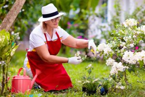 Frau pflegt und schneidet Pflanzen im Garten