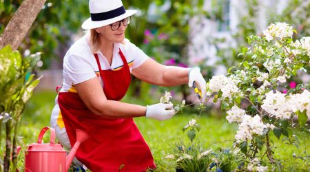 Frau pflegt und schneidet Pflanzen im Garten