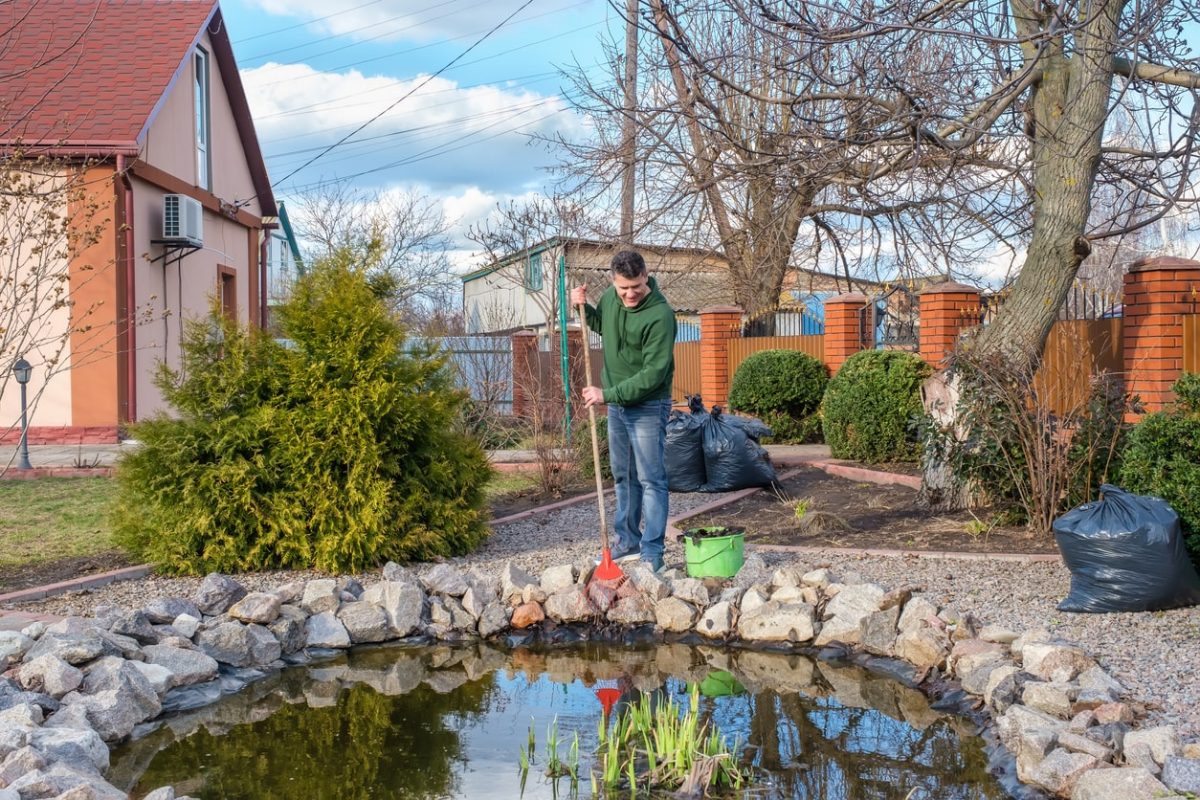Gartenteich reinigen So wird’s gemacht