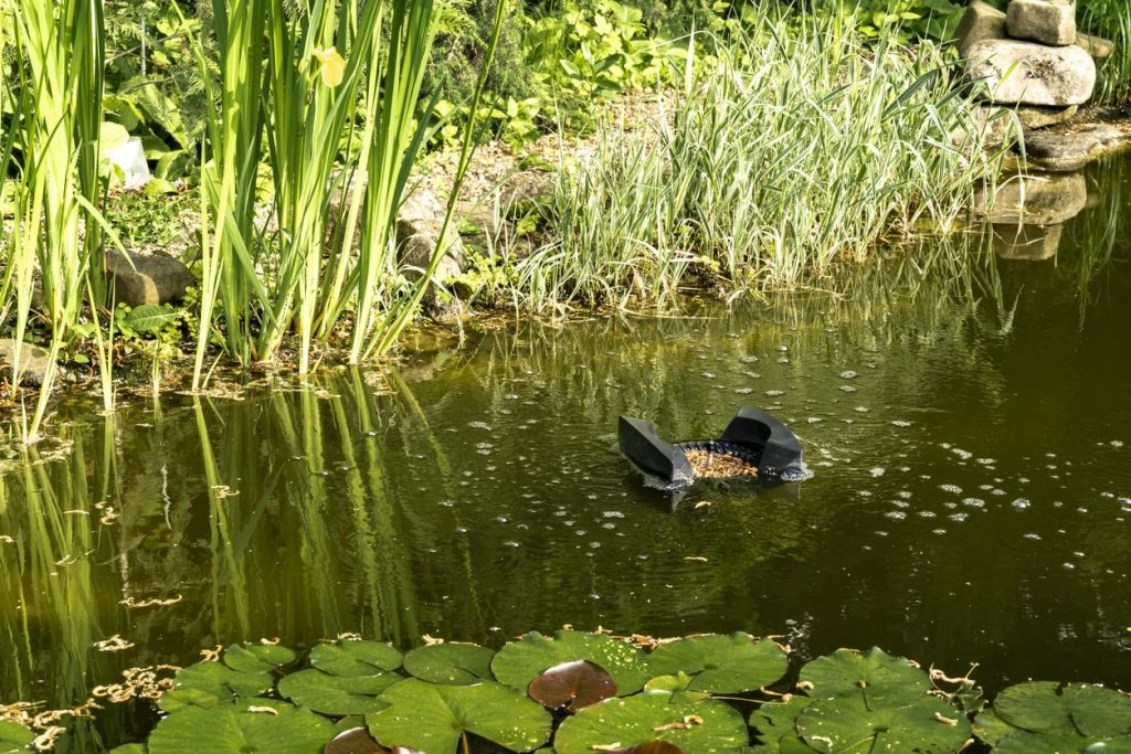 Teich anlegen Kosten » Wie viel kostet der Bau eines Teichs?