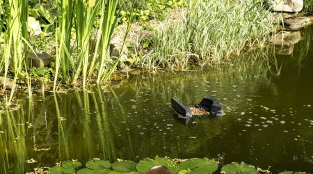 Teichbauer in der Nähe finden