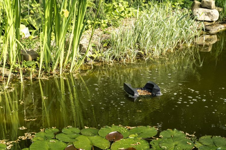 Teich anlegen Kosten » Wie viel kostet der Bau eines Teichs?