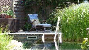 Schwimmteich im Garten mit Schilf und Holzterrasse mit Liegestuhl