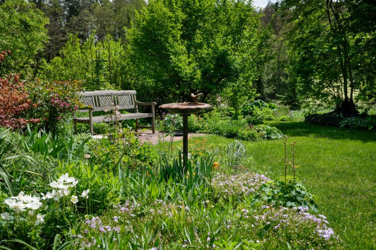 Waldgarten mit Gartentisch und kleinem Brunnen