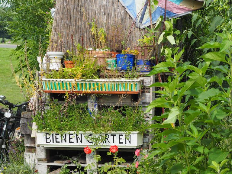 Bienengarten aus einer Europalette mit Pflanzen