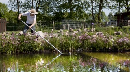 Gärtner mit Strohhut reinigt einen Gartenteich mit einem Kescher einen Gartenteich im Sommer