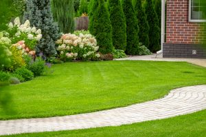 Frisch geschnittener Rasen in einem Garten