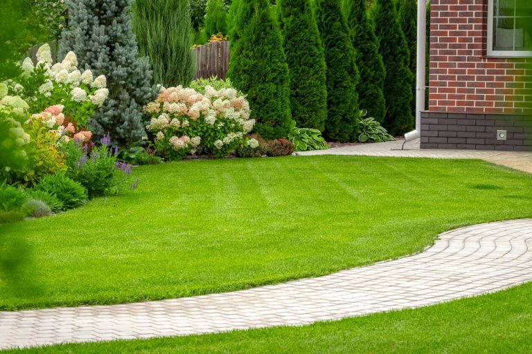 Frisch geschnittener Rasen in einem Garten