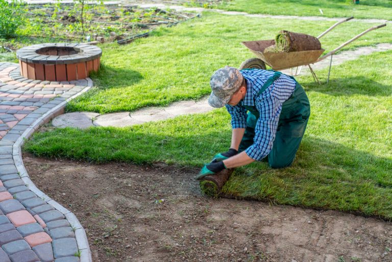 Gärtner verlegt neuen Rollrasen in einem Garten.