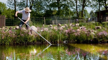 Gärtner mit Strohhut reinigt Gartenteich mit mit blühender Uferbepflanzung