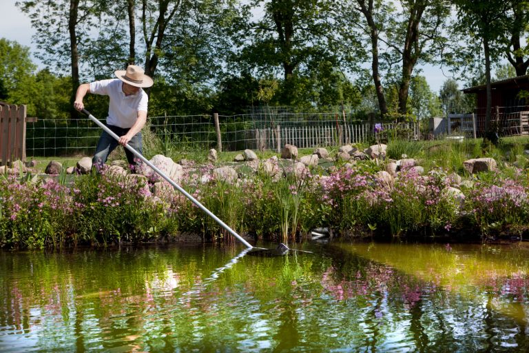 Gärtner mit Strohhut reinigt Gartenteich mit mit blühender Uferbepflanzung