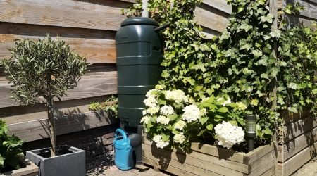 Oberirdischer Regenwassertank im Garten