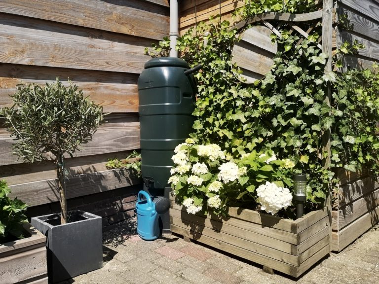 Oberirdischer Regenwassertank im Garten