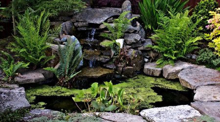 Gartenteich mit Wasserfall und Wasserpflanzen und umgeben von Steinen