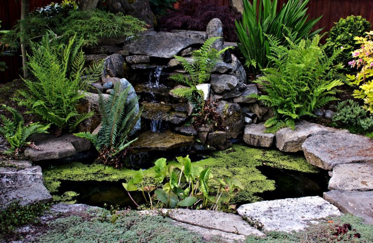 Gartenteich mit Wasserfall und Wasserpflanzen und umgeben von Steinen