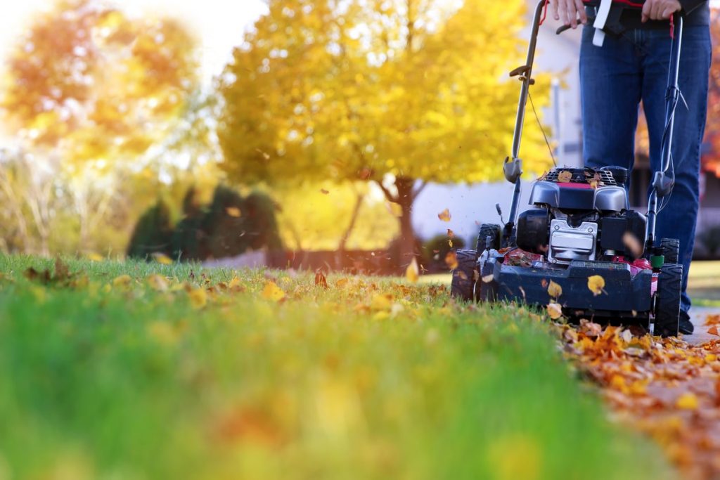 Mann mäht Rasen im Herbst mit Laub und gelben Bäumen im Hintergrund