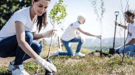 Junge Frau bei einer Baumpflanzung mit jungem Baum in der Hand